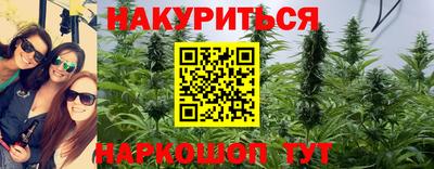 apvp Краснознаменск
